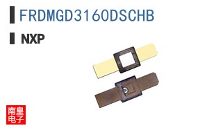 FRDMGD3160DSCHB