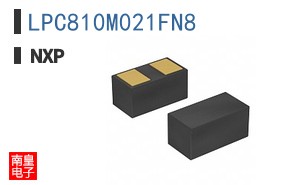LPC810M021FN8
