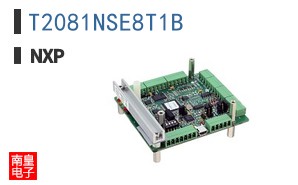 T2081NSE8T1B