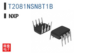 T2081NSN8T1B